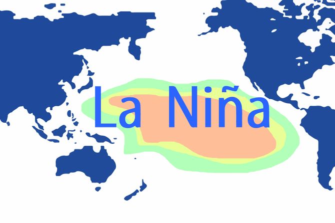Fenomen La Ninja Fenomen La Ninja