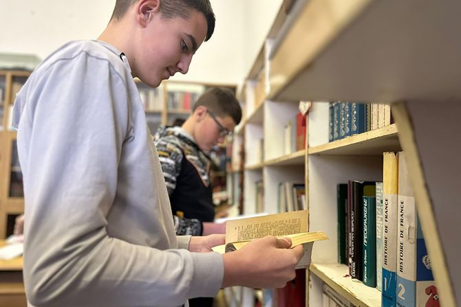 Zavičajna biblioteka Katići