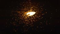 Moljce ne privlači svetlost – šta se zaista dešava?