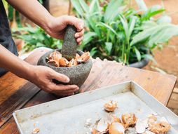 ljuske od jaja, jaja, ljuske, biljka, bašta