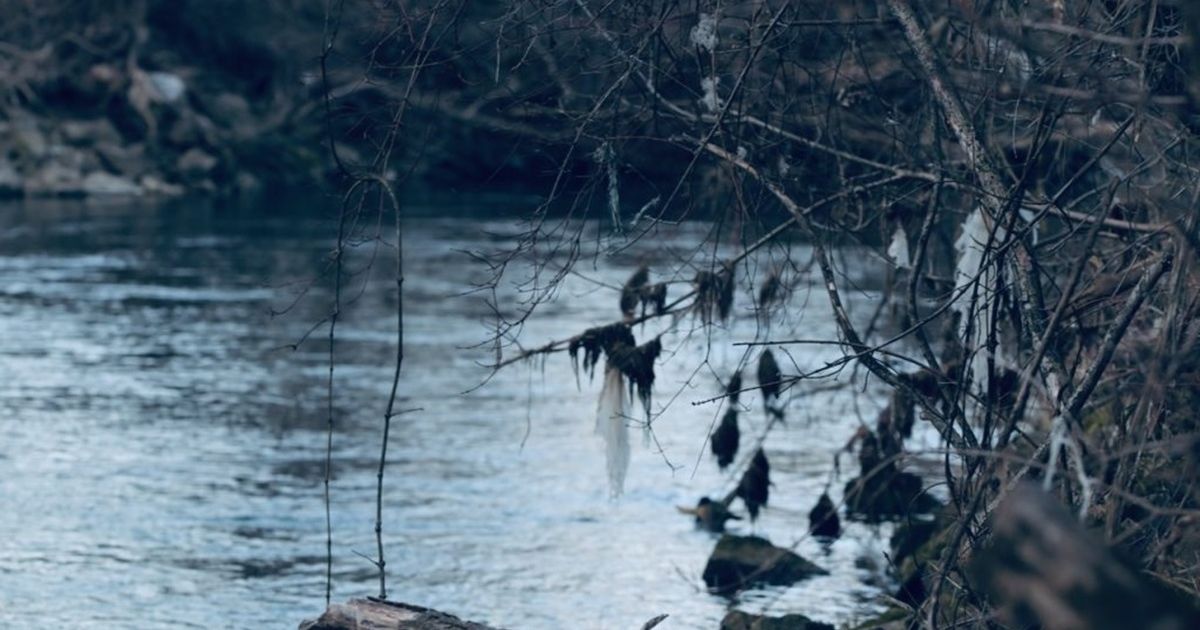 Šok prizor u Nišu: Da li je moguće da OVO pluta rekom?!