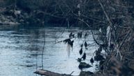 Šok prizor u Nišu: Da li je moguće da OVO pluta rekom?!