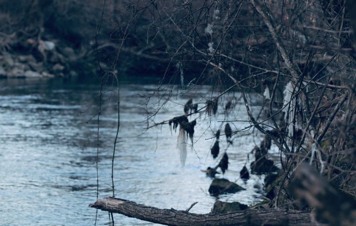Šok prizor u Nišu: Da li je moguće da OVO pluta rekom?!