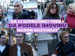 Anketa podela imovine