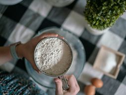 protein u prahu, prah, protein