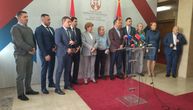 Grujičić: Platforma za zbrinjavanje urgentnih stanja zaživeće od ponedeljka
