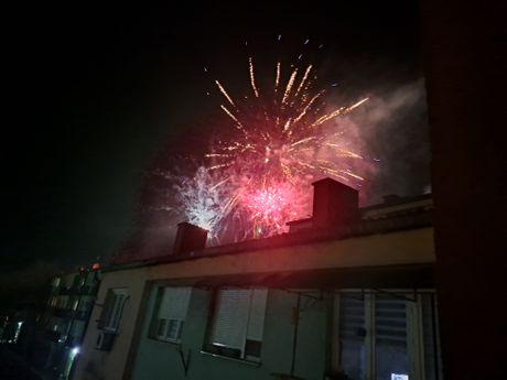 Proslava Kineske Nove godine u Boru