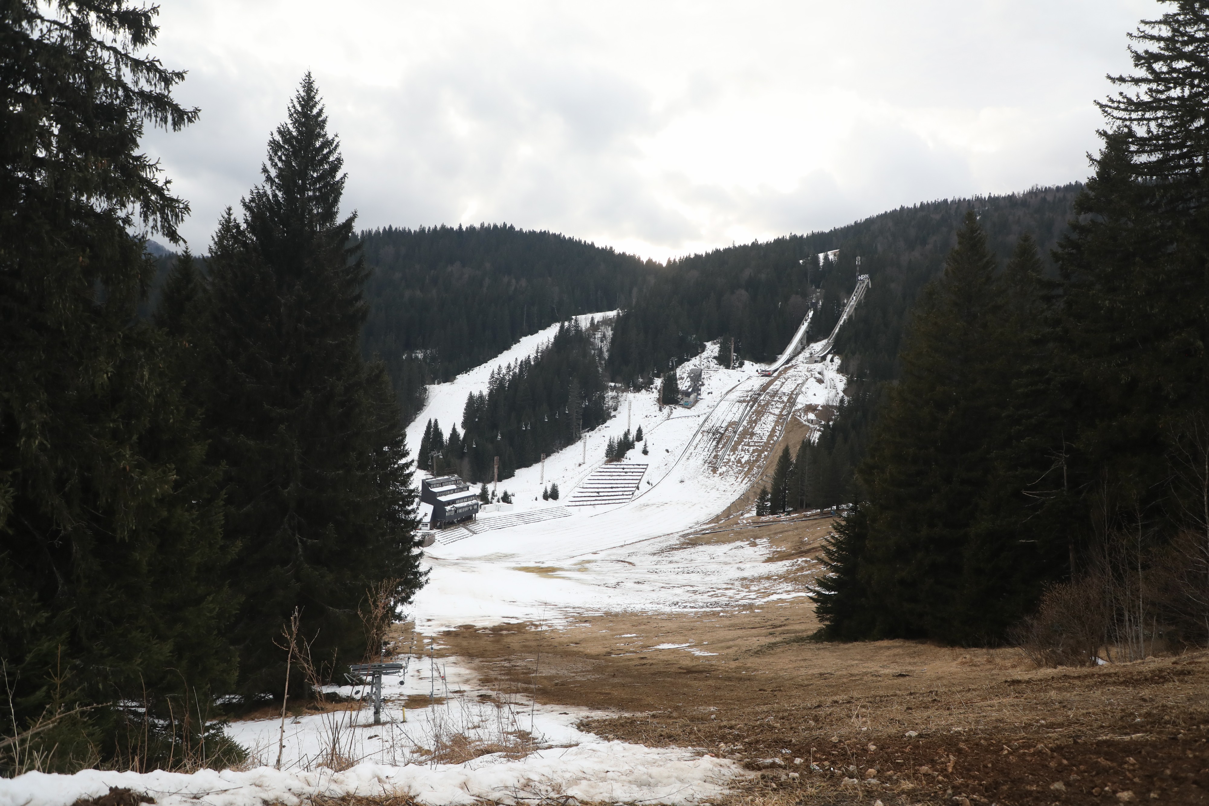Retke zveri primećene na Šar-planini! Hodaju slobodno i bez straha, kamere zabeležile neverovatan snimak