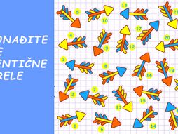 Pronađite dve identične strele test mozgalica