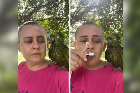 Žena i papagaj