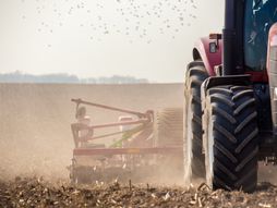 poljoprivreda, agriculture