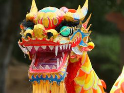 Godina Zmaja, kineski horoskop