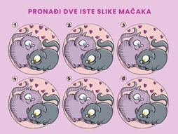 Skrivalica mačke