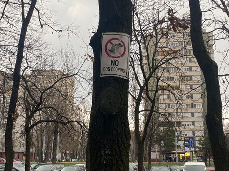 No dog pooping Novi Beograd