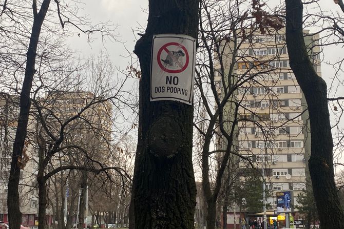 No dog pooping Novi Beograd