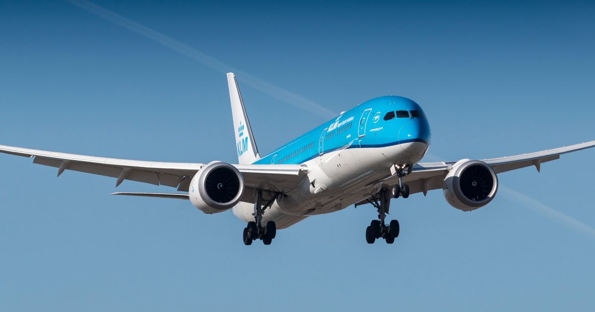 Svinje preusmerile let KLM-a