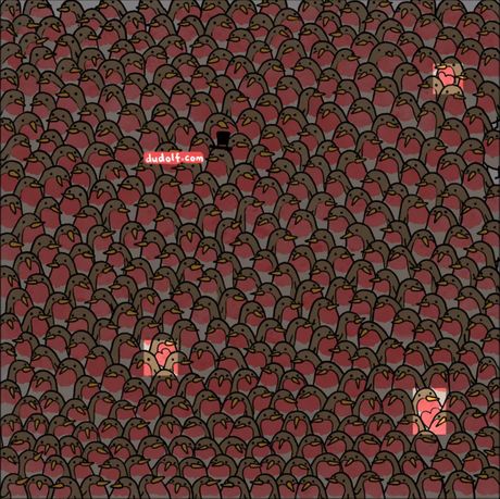 Skrivalica test Dudolf, 3 srca među crvendaćima