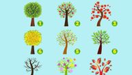 Test ličnosti: Drvo koje odaberete otkriva da li ste optimista, romantik ili dubokoumna i nezavisna osoba