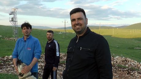 Sjenica, Pešter, braća Kurtagić, najveće stado ovaca na Balkanu
