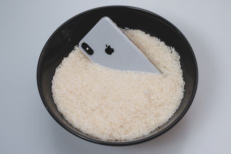 iPhone u pirinču