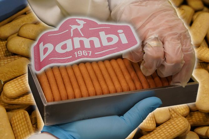 Bambi plazma keks fabrika Bambi plazma keks fabrika