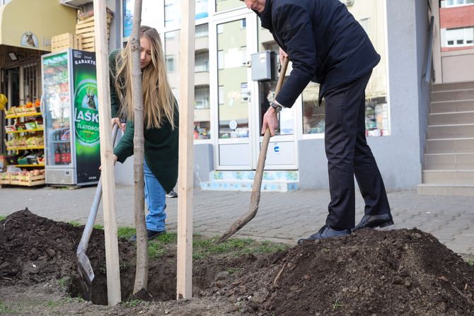 U čast Danila Kiša posađen kesten u Ćirpanovoj ulici