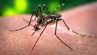 MDULS nastavlja sa radom na suzbijanju larvi i komaraca na teritoriji Srbije