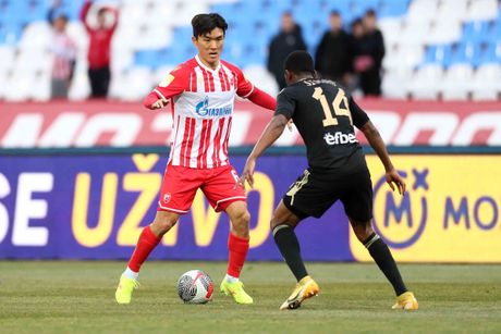 FK Crvena zvezda FK Crvena zvezda