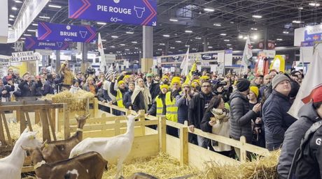 Francuska protesti poljoprivredinika