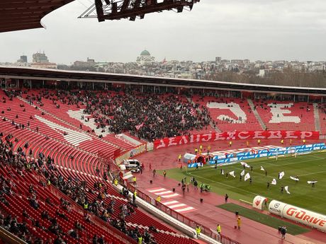 FK Crvena zvezda FK Crvena zvezda