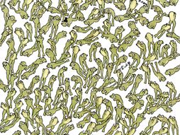 Koja žaba ne skače Dudolf