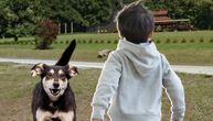 Dete ide kod psihologa, ni u naše dvorište više ne sme da kroči: Đorđe o krvavom napadu pasa u Milanovcu