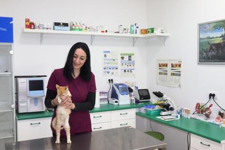 Tamara veterinarka Tamara veterinarka