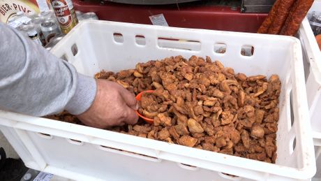 čvarci, Kobasicijada