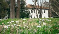 Magične boje oplemenile grad i prenule nas iz zimskog sna: Ovako izgleda buđenje prirode u Topčiderskom parku