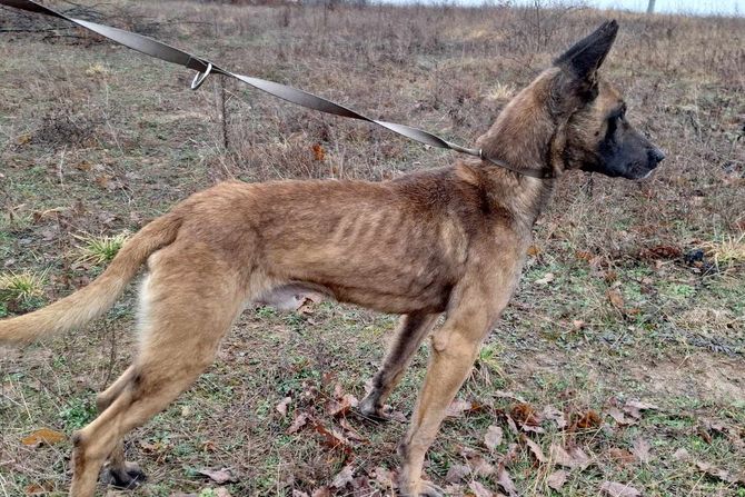 Udružnje Beta pomoć za malinou