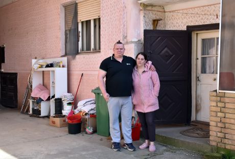 Gajdobra porodica Novčić