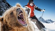 Medved napao skijašicu na Šar planini: Kretala se van staze, sumnja se da je zbog ovoga ujeo za nogu