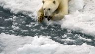 Zastrašujuće upozorenje naučnika: Arktik će biti bez leda za manje od decenije!
