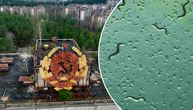 Šokantno otkriće o crvićima u zabranjenoj zoni Černobilja