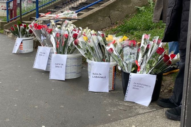 Pijaca, Mirijevo, ruže, cveće Pijaca, Mirijevo, ruže, cveće