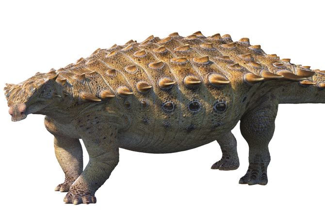 Datai yingliangis Datai yingliangis