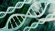Čip pojačan sa DNK unapređuje veštačku inteligenciju