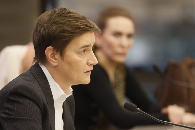 Ana Brnabić konferencija SNS aktivistkinje napadnute