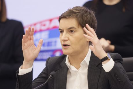Ana Brnabić konferencija SNS aktivistkinje napadnute