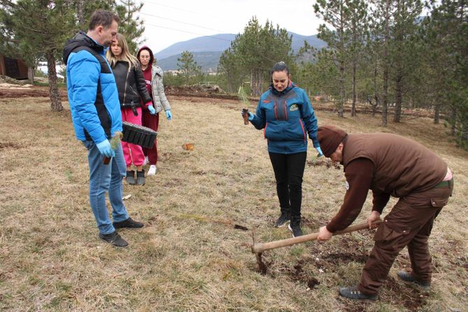 Novi borići zasađeni oko Ribničkog jezera Zlatibor Međunarodni dan reka