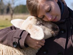 Utočište domaće životinje