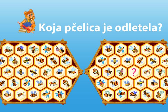 mozgalica koja je pčelica odletela