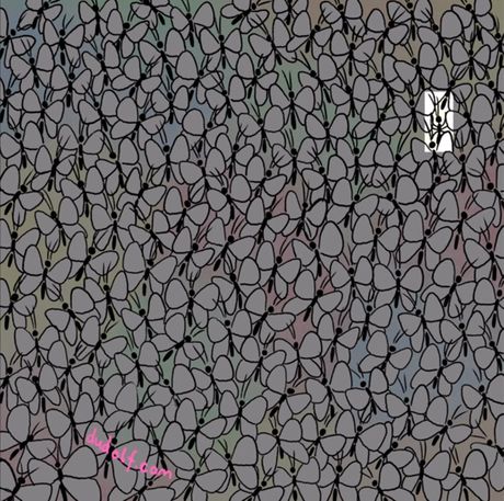 Skrivalica optička iluzija Skrivalica optička iluzija