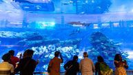 Ima klizalište, kinesku četvrt, džinovski akvarijum: U 2023. je ovaj centar posetilo 105 miliona ljudi